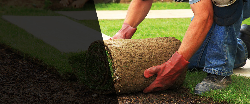 Oceanport Landscapers